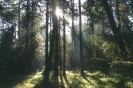 Guciów Roztoczański Park Narodowy_2