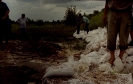 powódż 2001